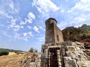 Elégant chateau du XIIIème siécle aux volumes remarquables et sa maison d'amis, vue panoramique, à 5 mn de Lectoure