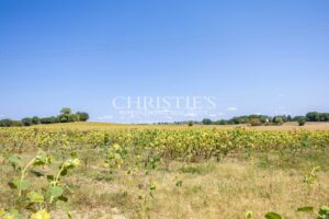The Bishop's Château Estate — Main Château, Three Cottages, Multiple Pools & 7+ Hectares of Grounds