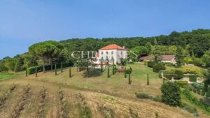 The Peacock Domaine with Three Cottages and Unrivaled Valley Views