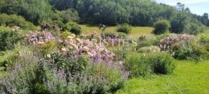 UN LOGIS DU XVIIe SIÈCLE EN PÉRIGORD VERT