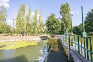 La maison du moulin, située au bord de la rivière Dropt, surplombe son lac et s’étend au cœur d’un domaine boisé de 13 hectares