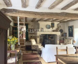 Charming Loire valley cottage in riverside hamlet