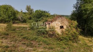Un domaine de caractère, entre bois et prairies, au cœur du Périgord