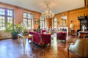 For sale Saint-Laurent-de-Gosse - 19th-century Castle with exceptional park