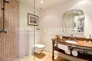 For sale Saint-Laurent-de-Gosse - 19th-century Castle with exceptional park