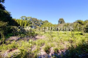 For sale Saint-Laurent-de-Gosse - 19th-century Castle with exceptional park