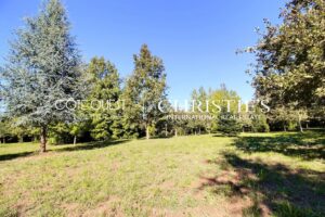 For sale Saint-Laurent-de-Gosse - 19th-century Castle with exceptional park