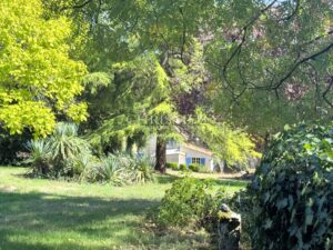 A unique estate in Saintes – 2 independent homes, swimming pool and wooded parkland