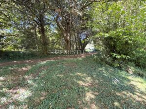 A unique estate in Saintes – 2 independent homes, swimming pool and wooded parkland