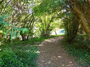 A unique estate in Saintes – 2 independent homes, swimming pool and wooded parkland