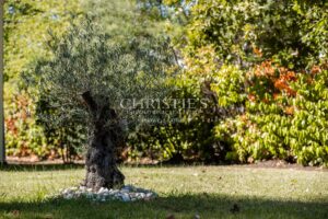 Cestas - Élégante maison familiale rénovée - Jardin - Piscine